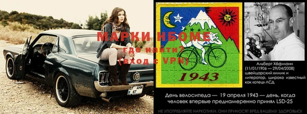 стафф Баксан